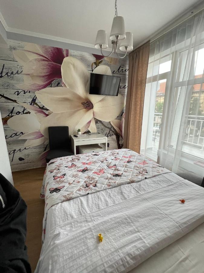 Artmotel & Bistro Haţeg Екстериор снимка